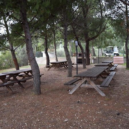Camping Fontana Delle Rose Mattinata Eksteriør bilde