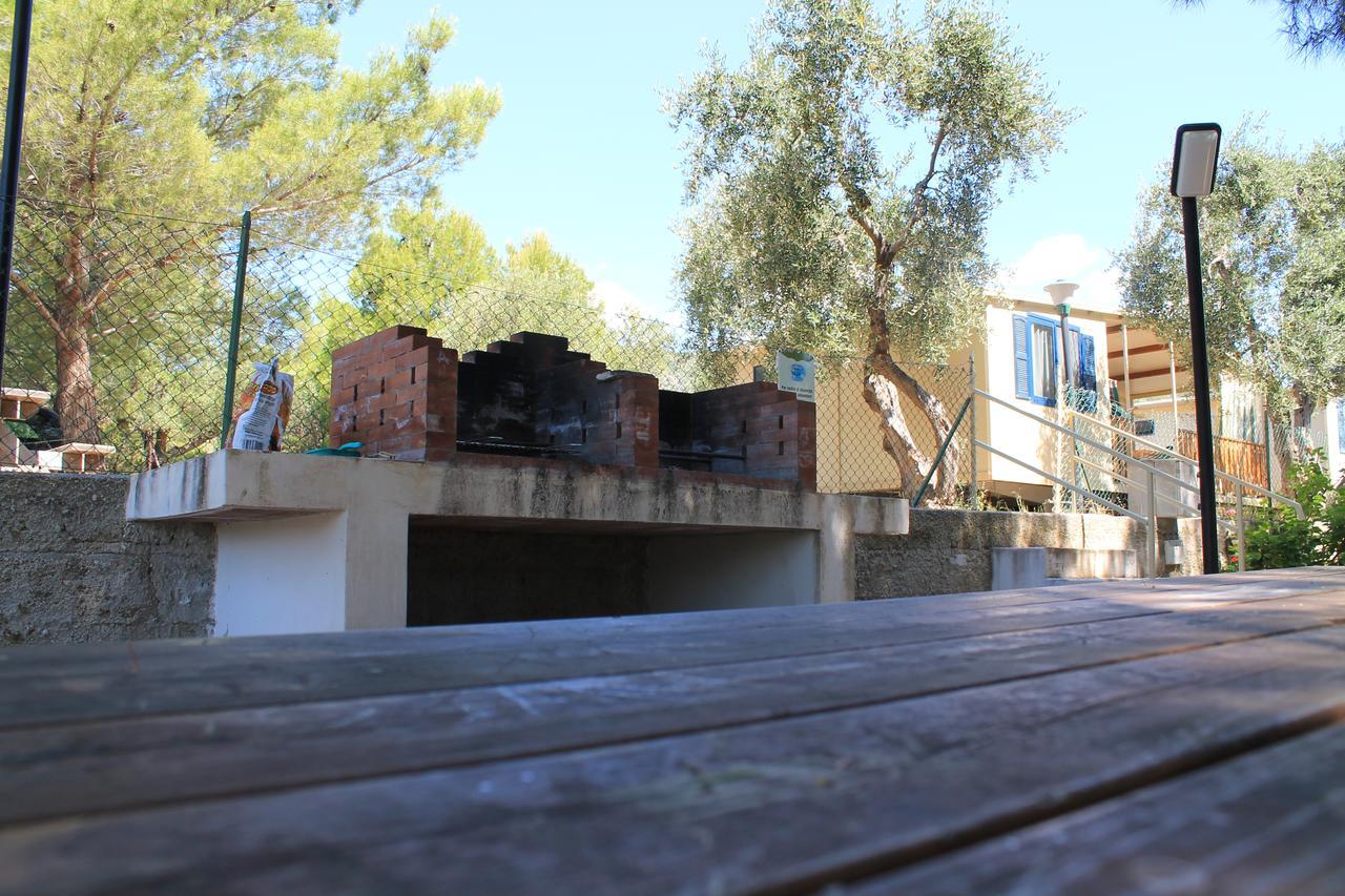 Camping Fontana Delle Rose Mattinata Eksteriør bilde